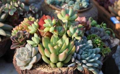 算算我的婚姻还能继续发展吗插图