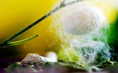 九月运势如虹 3生肖时来运转 喜事连连  升职加薪插图