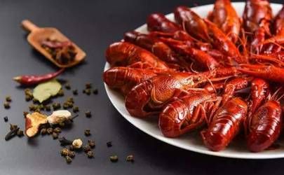 今年兔年对哪些人有利与不利 这一年的运势是很不错的插图
