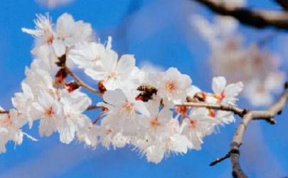 梦见自己被强行非礼说明了什么插图