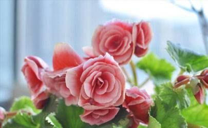 分居多久可以离婚 一方拒绝离婚怎么处理插图