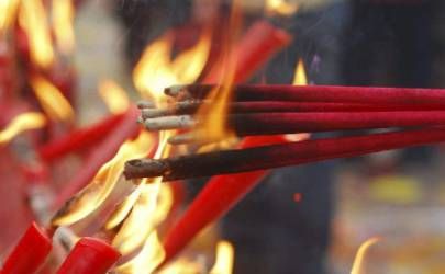 属虎的人为什么脾气大 属虎人性格分析超准插图