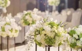 2023年哪些人有桃花运 哪些属相桃花运最旺缩略图 2023年哪些人有桃花运 哪些属相桃花运最旺