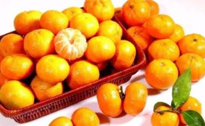 属虎女面对背叛如何开导自己 挑战极限运动插图