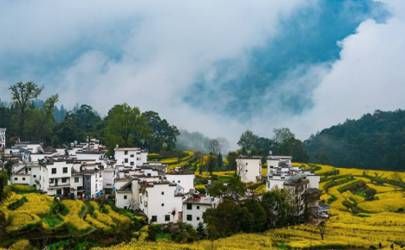 四月开始好运来 求财得财求富必富 能出人头地的4大生肖插图