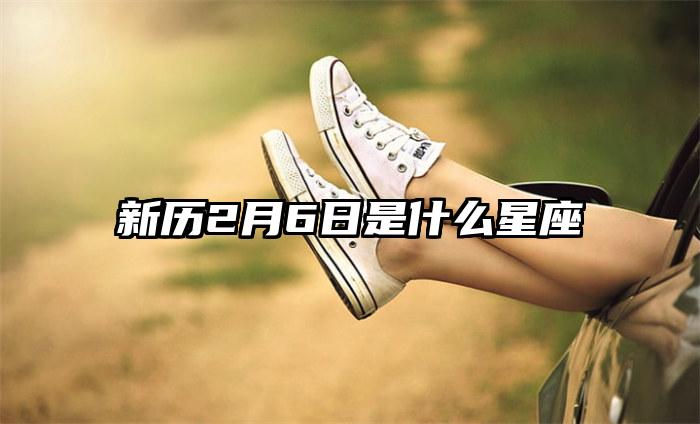 新历2月6日是什么星座插图