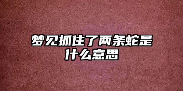 梦见抓住了两条蛇是什么意思插图