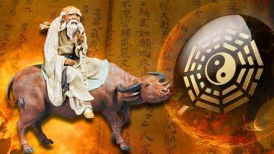 为什么避开虎年生宝宝？为什么家里要有大属相插图
