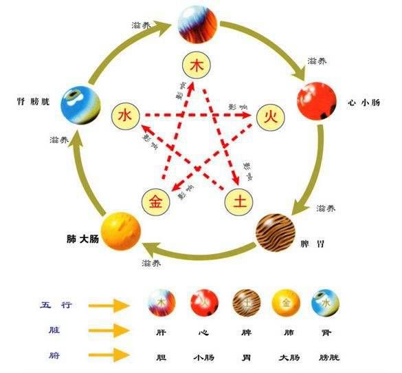 五行的相生相克及其规律  五行相生相克的顺序是什么插图