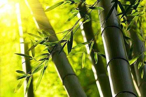 白羊男喜欢的亲密称呼 这四个称谓太甜了！插图