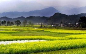 甲子日纳音五行详解 甲子日出生人的性格缩略图 甲子日纳音五行详解 甲子日出生人的性格