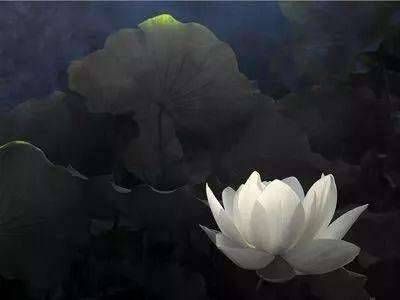 八字中的桃花分几种插图
