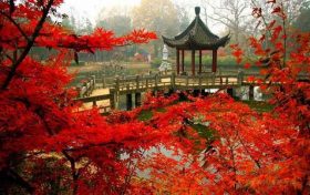 八字婚姻不顺的人如何化解 婚姻宫的刑冲合害缩略图 八字婚姻不顺的人如何化解 婚姻宫的刑冲合害