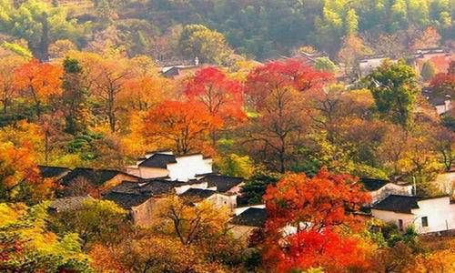 八字中灾煞是什么意思 大运与日柱天克地冲插图