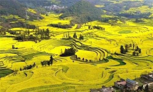 戌时出生的男孩好不好 戌时出生当官插图