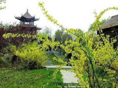 八字中什么代表婚姻 婚姻八字是指哪八字插图
