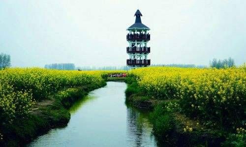 八字轻和八字重的人适合在一起吗 如何判断另一半长相及能力插图
