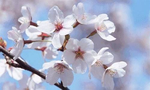 六十花甲子纳音顺口溜手指法插图
