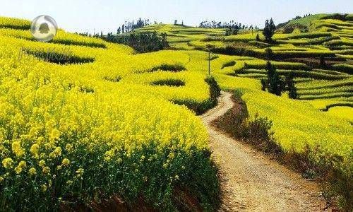 手指纹路很清晰说明什么 手指的纹路代表什么插图