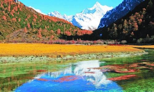 爱情骗子的八字八字中土旺、水也旺插图