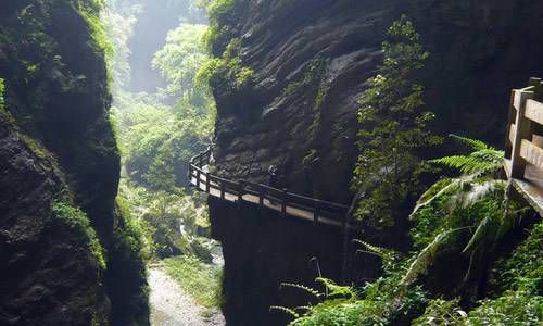 属鼠六月十九巳时出生命运插图