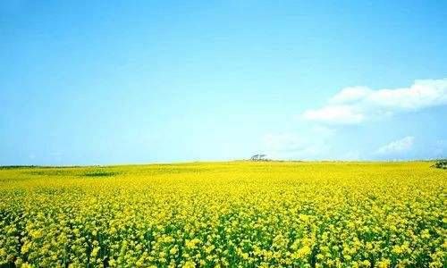 不会乱花钱的男生八字 七杀日出生的有插图