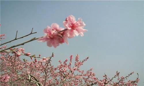 命运会被改变吗 人生的命运会不会改变插图