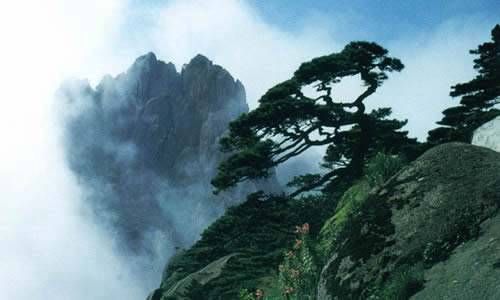 五十四卦怎么解决 雷泽归妹卦详解插图