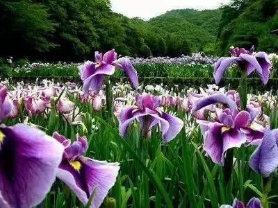 八字命理是决定名字成败的关键 构思的基础和起点是姓氏分析插图