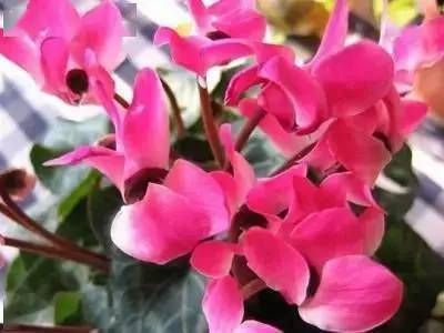 婚姻线长嫁的好吗 婚姻线末端分叉一定会离婚吗插图