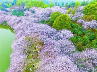 丁火女能嫁好老公吗 烂桃花比较多插图