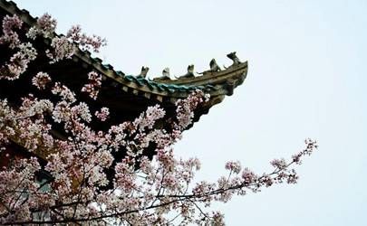 霹雳火命好不好 霹雳火命的人能力强插图