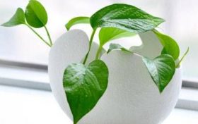 比女孩还软萌的文弱范生肖缩略图 比女孩还软萌的文弱范生肖