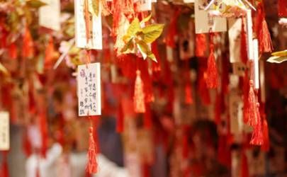 己亥日柱解析及特点、出生人性格与生于申月好吗插图