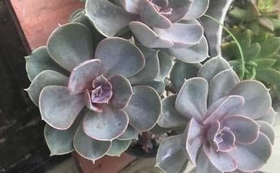 命理知识 怎么改善自身运势和风水插图