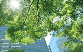五行属火的忌讳什么颜色 火命的人适合什么颜色缩略图 五行属火的忌讳什么颜色 火命的人适合什么颜色