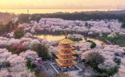 右眼睫毛根内长痣命运解析插图