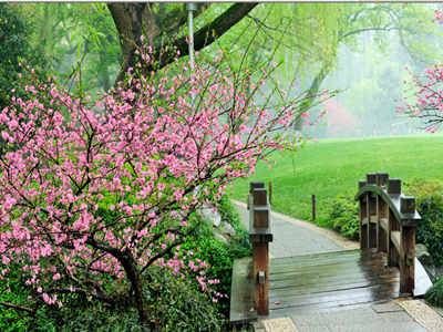 十二生肖桃花方位与摆放禁忌知识插图