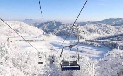 属虎2024年有大喜缠身 事业进步感情顺利插图