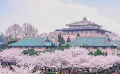 面相纹路颧骨纹 命运好不好呢插图