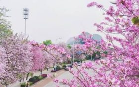 从八字看大运吉凶状况缩略图 从八字看大运吉凶状况
