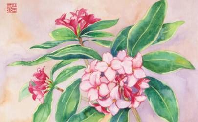 八字属相相冲真的不能结婚吗？(相克的生肖就不能结婚吗)插图