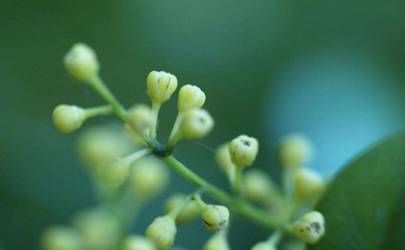 如何促进感情和睦 不利风水要避免插图