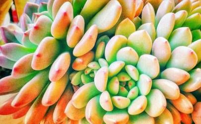 富贵手相的6种奇纹 看看你是先天富贵还是需后天努力插图
