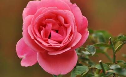 春节夫妻可以同房吗 春节期间夫妻行房禁忌事项插图