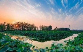 癸卯日柱富贵条件 出生运势怎么样缩略图 癸卯日柱富贵条件 出生运势怎么样