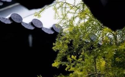 一辈子穷苦的苦命人手相 哪些手相一辈子都是穷苦命插图