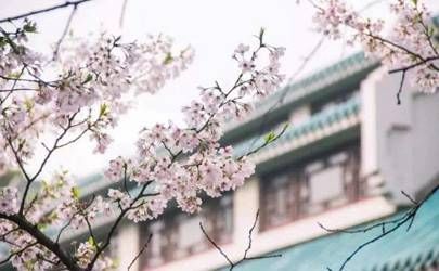 眉间有胎记的人桃花运很旺吗 桃花多插图