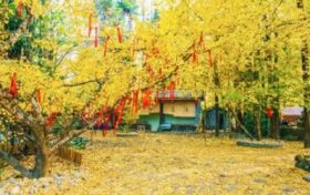 事业线怎么看 事业线怎么看图解缩略图 事业线怎么看 事业线怎么看图解