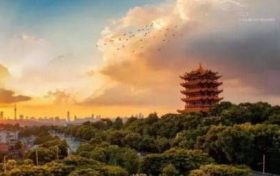 癸卯流年2023分析 己土2023年癸卯流年运势缩略图 癸卯流年2023分析 己土2023年癸卯流年运势